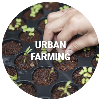 Urban Farming